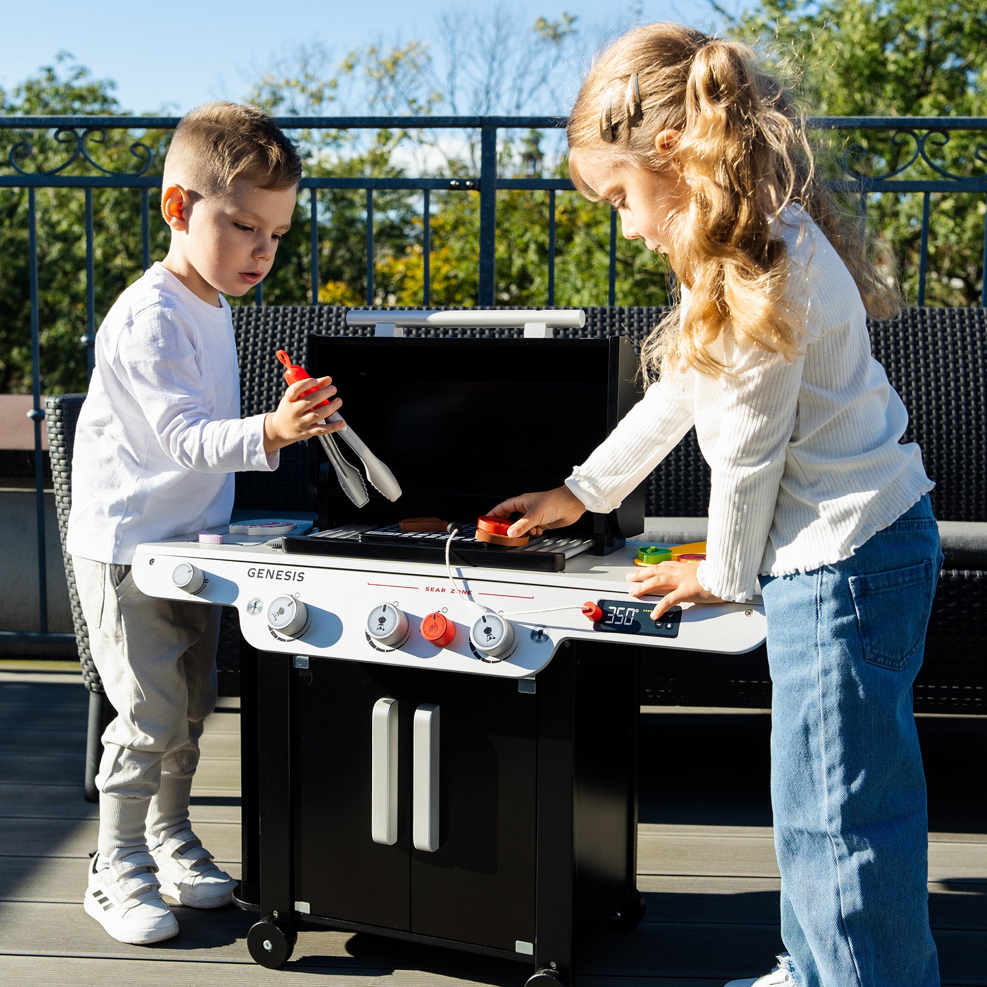 Grill - Genesis, Holz