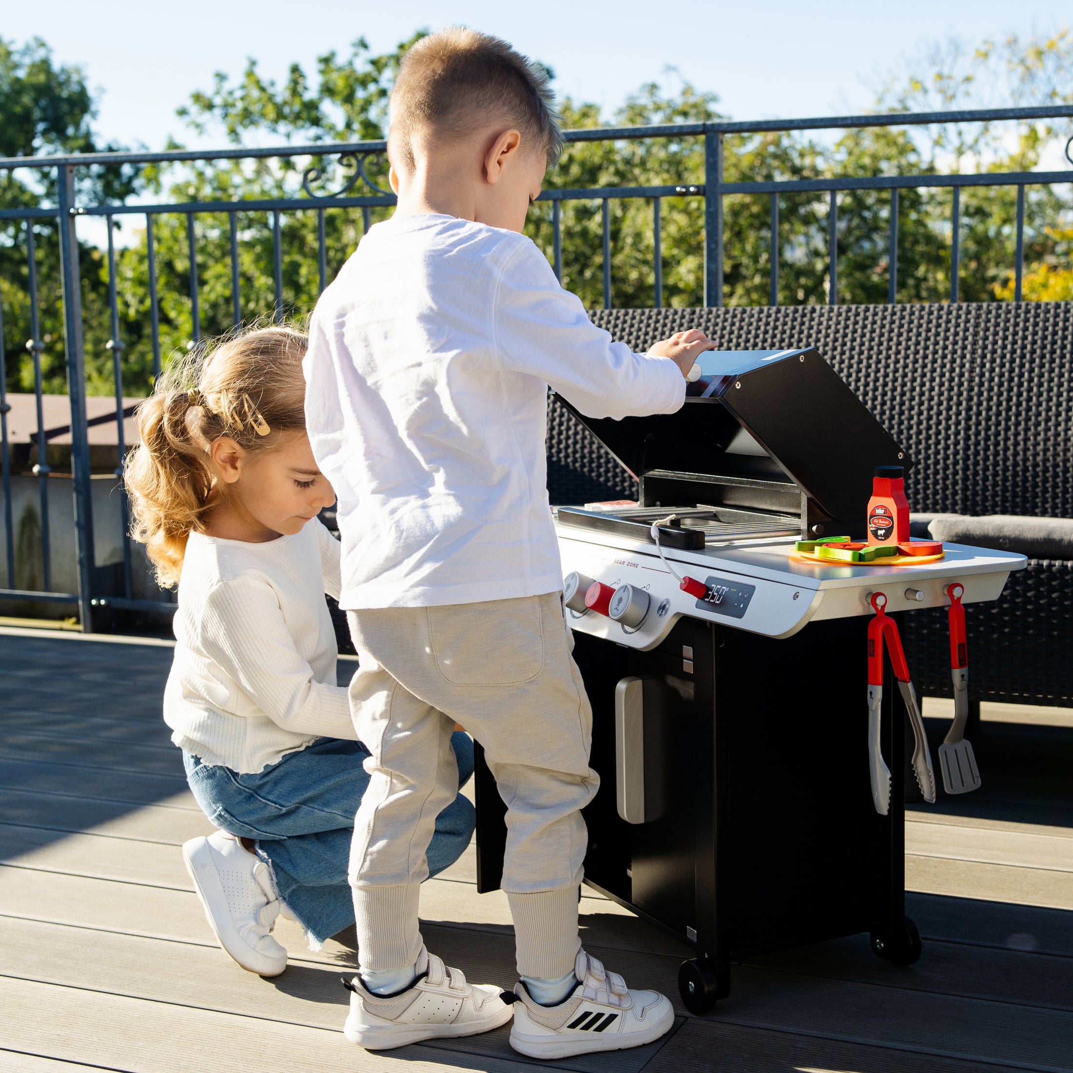 Grill - Genesis, Holz